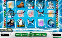Icy Wonders