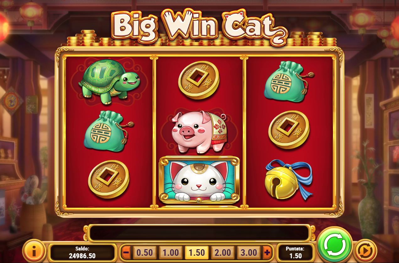 казино кат cat casino official site win