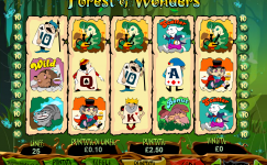 Forest Wonders