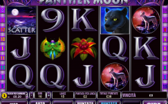 Panther Moon
