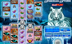 Siberian Storm Dual Play