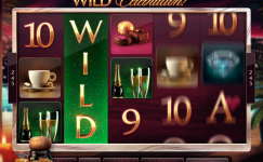 The Finer Reels Of Life