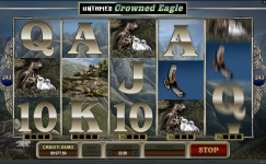 Untamed Crowned Eagle