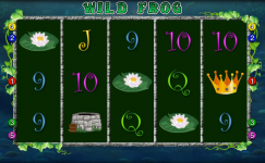 Wild Frog