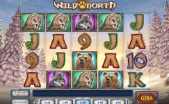 Wild North